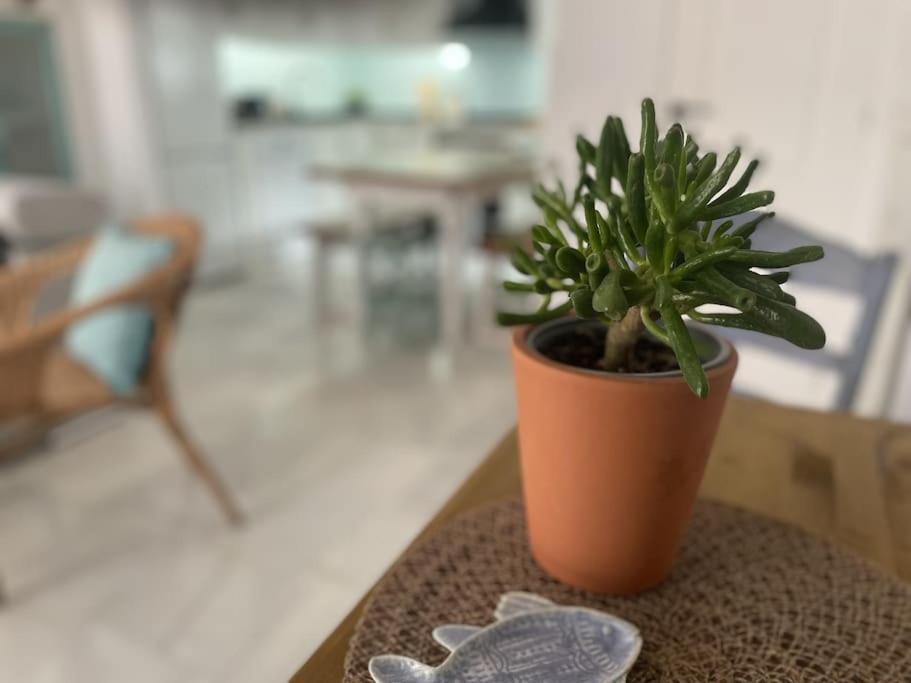 콘일데라프론테라 Casa Lola Conil, Azotea Al Mar Y Parking Solo Familias O Parejas 빌라 외부 사진